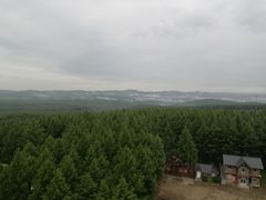 -塞罕坝国家级自然保护区