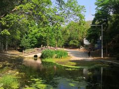 -白水寺森林公园