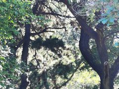 -长春市南湖公园