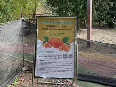 -上海滨江森林公园