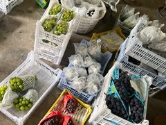 -马陆小张葡萄园农家乐