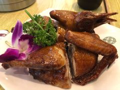 红烧乳鸽-添好运点心专门店(百老汇店)