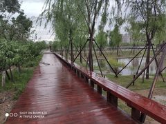 -永定河休闲森林公园