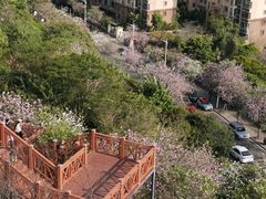 -小南山公园