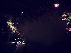 -胡桃里音乐酒馆(曲江店)