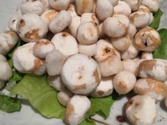 小马蹄-同仁四季椰子鸡(福田东园总店)