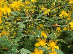 -昆山城市生态森林公园