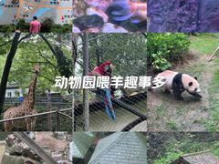 -杭州动物园