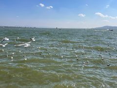 -海埂大坝