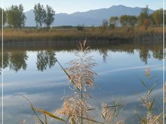 -野鸭湖国家湿地公园