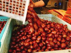-好好栗子店(海宁总店)