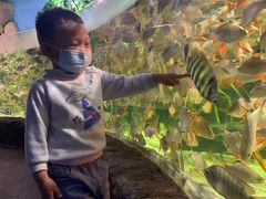 -多彩贵州城极地海洋世界