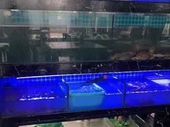 -阿尔法海鲜排档(爱琴海店)