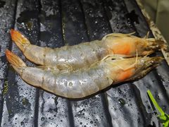 -汉拿山烤肉(东直门东方银座店)