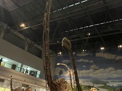 -自贡恐龙博物馆