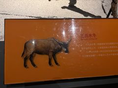 -重庆自然博物馆(新馆)