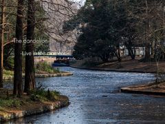 -上海共青森林公园