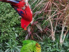 -南宫五洲植物乐园