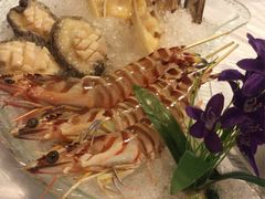 -鲜入围煮花胶鸡海鲜火锅