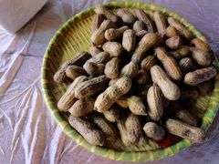 -金渝海鲜烧烤万州烤鱼店