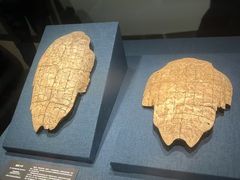 -盘龙城国家考古遗址公园