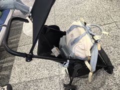 -东方明珠259米全透明悬空观光廊