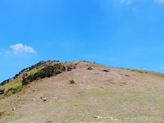 -大姆山草场
