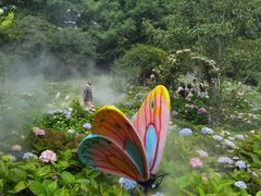 -上海共青森林公园