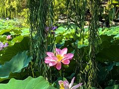 -莲池书院博物馆