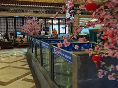 -顺峰(南二环店)