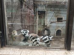 -昆明动物园