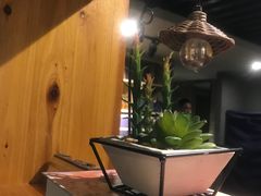 -梵猫·新养生(福州万象城店)