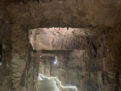 -中国西峡恐龙遗迹园