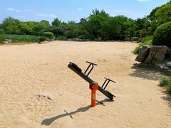 -青枫公园