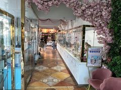 -糯米喵星人总部直营旗舰店·猫舍·幼猫出售