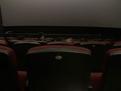 -金太狼4k国际影城
