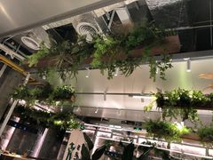 -老乡鸡(上海白玉兰广场店)