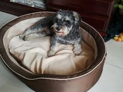 -佳怡动物医院·平价24小时·猫专科骨外科