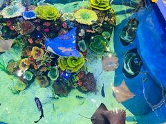 -成都浩海立方海洋公园