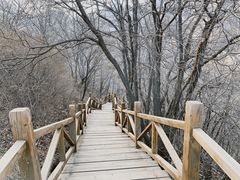 -大岭沟猕猴桃谷风景区