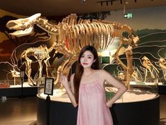-厦门诚毅自然探索馆
