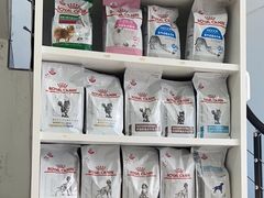 -诺比宠物医院心脏内科·泌尿肾内外科·骨科急重症