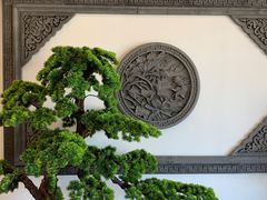 -呼吸森林·生态农庄农家乐私房菜