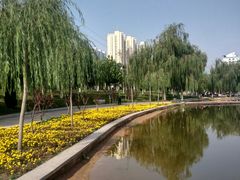 -雁滩公园