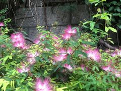 -白帝城·瞿塘峡景区