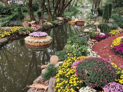 -上海共青森林公园