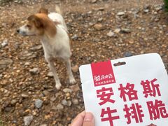 -龙洞风景区-藏龙涧