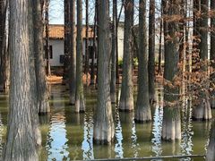-采石矶景区