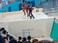 -秦皇岛乐岛海洋王国