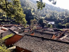 -杨家堂村